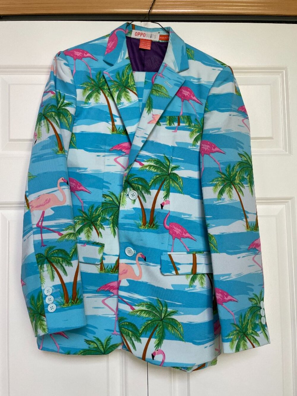 Boys flamingo suit from Opposuits